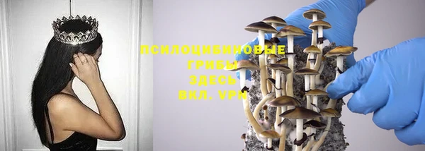 скорость Нея