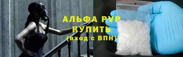 амф Новокубанск
