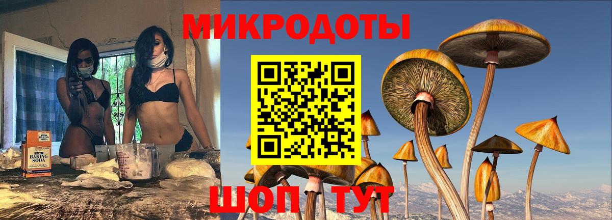 Тавда  Псилоцибиновые грибы Psilocybine cubensis  Галлюциногенные грибы Cubensis  Вход с VPN 